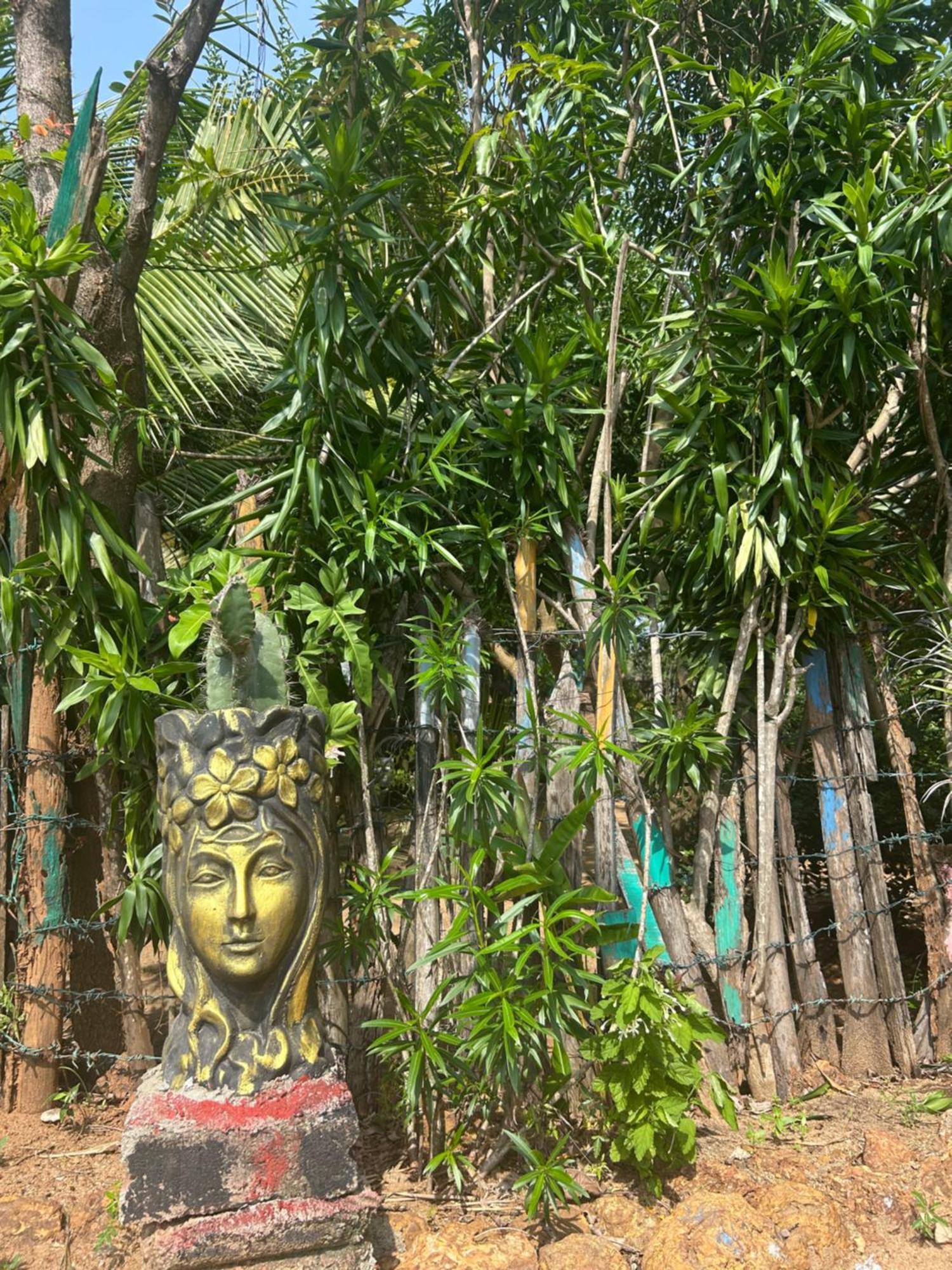 Starfish Beach Bungalow Vịnh Arugam Ngoại thất bức ảnh